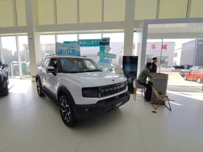 補(bǔ)貼“疊疊樂(lè)”，開(kāi)發(fā)區(qū)新能源汽車銷售火熱