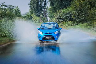 19年新能源汽車銷量盤點 微型車市場格局生變，奇瑞小螞蟻跌出前五